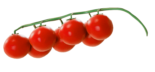 фоновое изображение