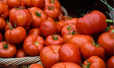 фоновое изображение