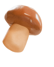 фоновое изображение